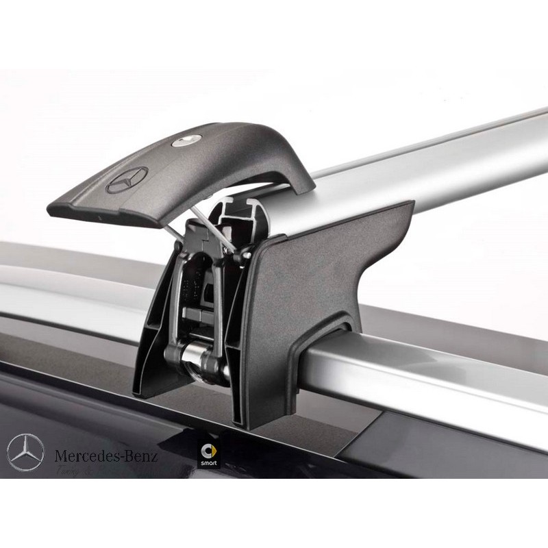 1 Stück Für Mercedes-benz Stickerei Dachtürgriffschutz, Auto